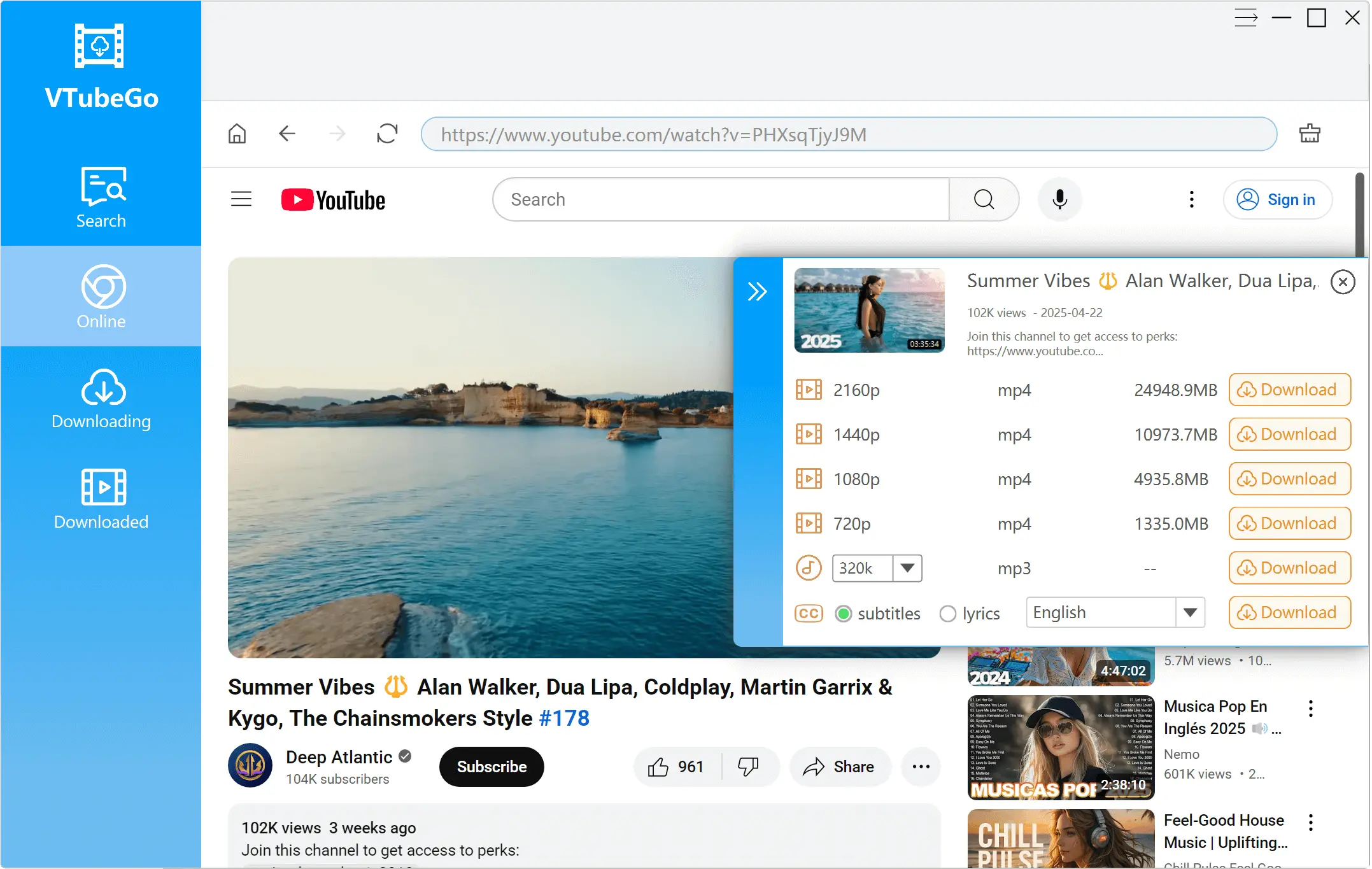 VTubeGo Video Downloader软件界面